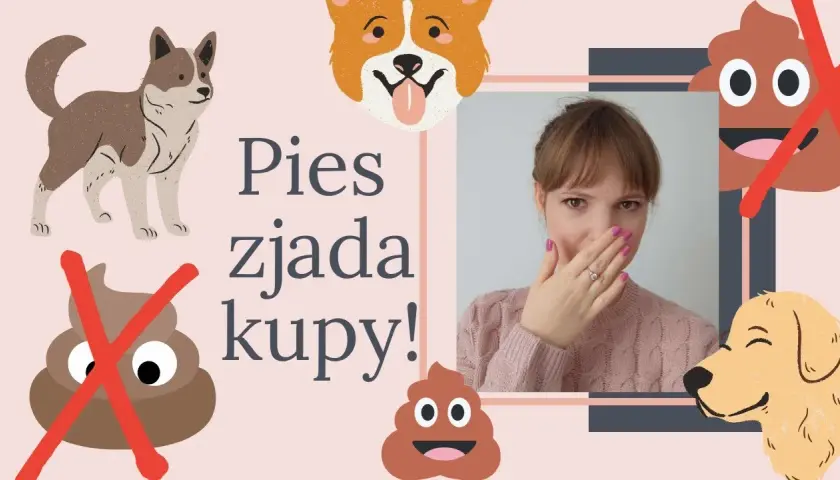 Dlaczego szczeniak zjada swoje odchody i co z tym zrobić, aby pomóc?