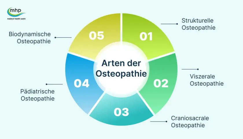 Infografik zeigt verschiedene Osteopathie-Arten: Strukturelle, Viszerale, Craniosacrale, Pädiatrische und Biodynamische. Wann geht man zum Osteopathen? Bei Beschwerden in diesen Bereichen.