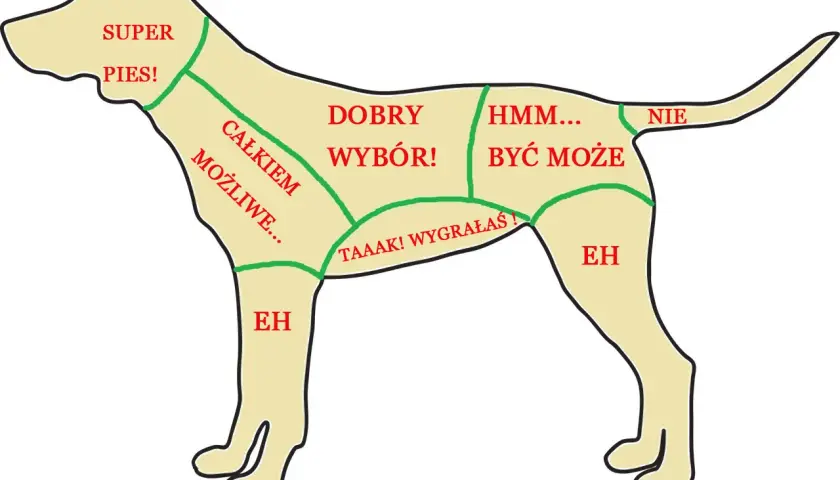 Mapa pokazuje, gdzie psy lubią być głaskane: od "Super pies!" na głowie po "Nie" na ogonie.