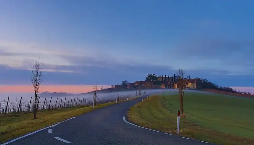 Strada serpeggiante verso un borgo collinare all'alba, con nebbia e un campo di oliva gessi.