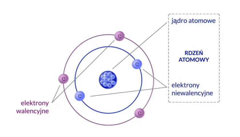 Z czego zbudowany jest atom? Przewodnik po świecie cząstek