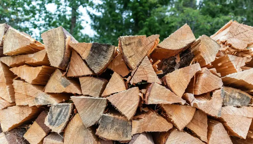 Stapel von gespaltenem Holz, bereit für den Winter. Der hohe Brennwert von Ulmenholz macht es zu einer beliebten Wahl für Kaminholz.