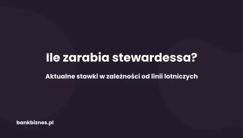 Ile zarabia stewardessa? Aktualne stawki w zależności od linii lotniczych. bankbiznes.pl