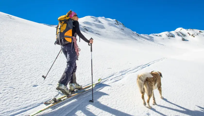 Kobieta na nartach z psem wyrusza na ski alpinizm. Słońce, śnieg i błękitne niebo tworzą idealne warunki do górskiej przygody.
