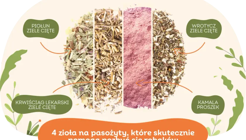 Czym odrobaczać psa? Skuteczne metody i naturalne alternatywy