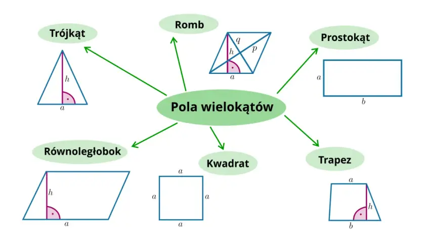 Diagram przedstawiający pola wielokątów: trójkąt, romb, prostokąt, trapez, kwadrat, równoległobok.