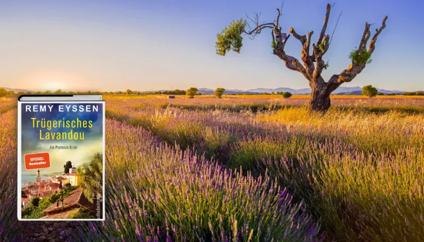 Buchcover "Trügerisches Lavandou" vor einem Lavendelfeld mit einem knorrigen Baum im Abendlicht.