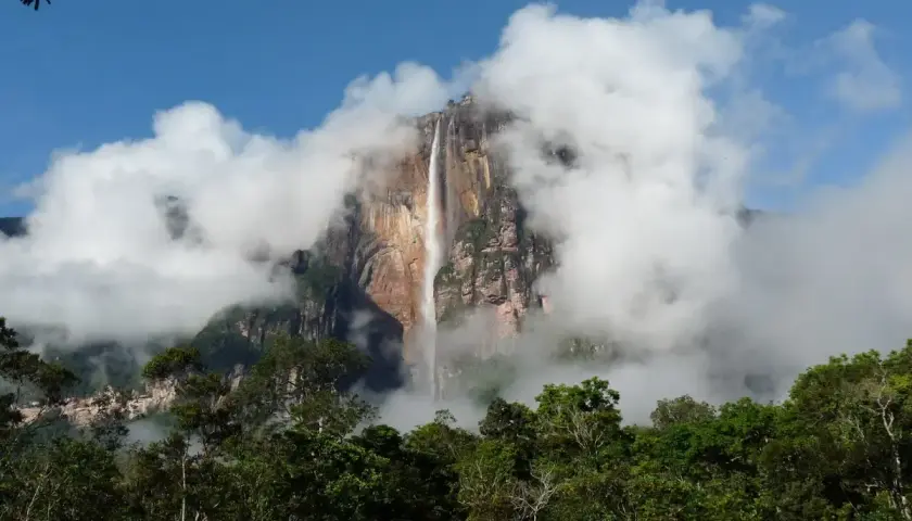 Der Salto Ángel, ein majestätischer Wasserfall, stürzt von einem Tafelberg, umgeben von Wolken und üppigem Dschungel.