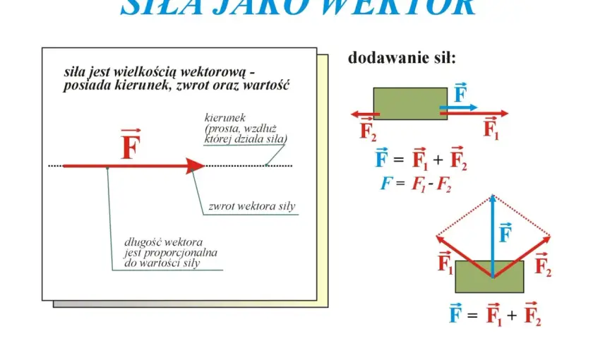 Co to jest zwrot w fizyce i jak wpływa na wektory?