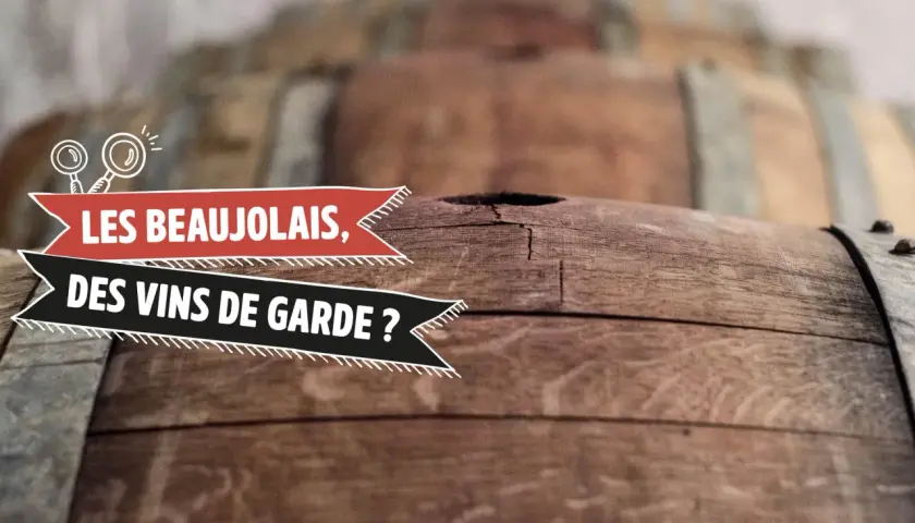 Des tonneaux de vin en bois, avec le texte "Les Beaujolais, des vins de garde ?". Combien de temps se garde un Beaujolais Village ?