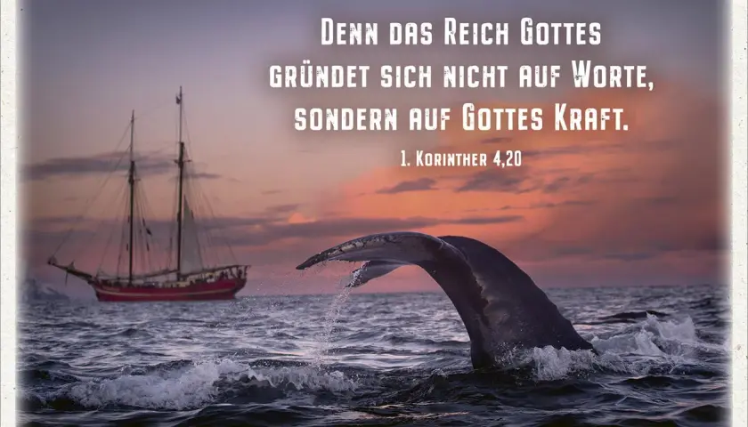 Ein Wal taucht ab, während ein Segelschiff im Abendrot vorbeifährt. Das Bild erinnert daran, dass Gottes Kraft in dir wirkt.