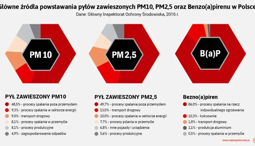 Z czego składa się smog? Poznaj toksyczny koktajl w Twoim powietrzu
