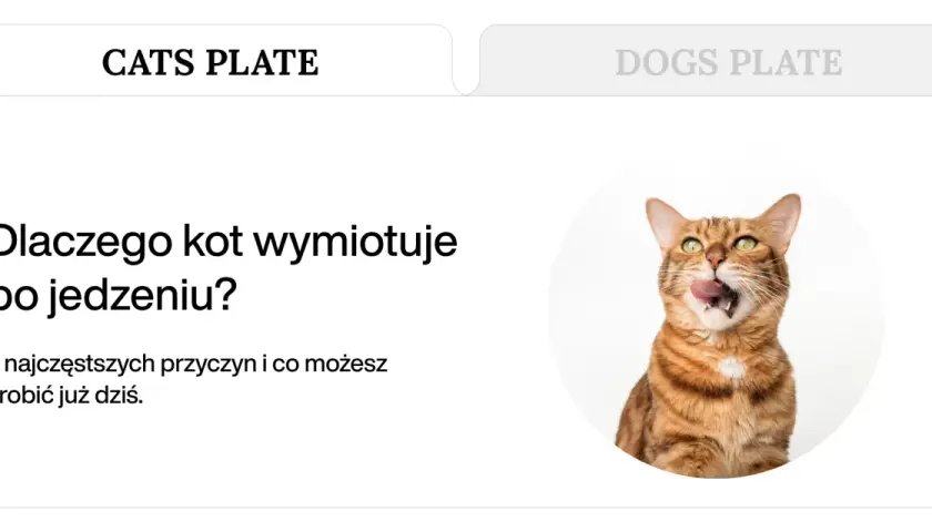 Zastanawiasz się, dlaczego kot wymiotuje po jedzeniu? Dowiedz się o 7 przyczynach i co możesz zrobić. Kot na zdjęciu wygląda, jakby właśnie coś zjadł.