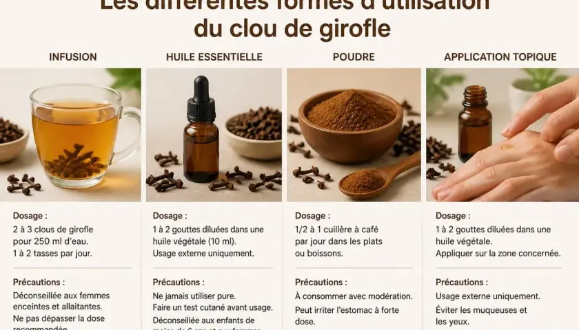 Infusion, huile, poudre, application topique : découvrez les bienfaits du clou de girofle et comment l'utiliser.