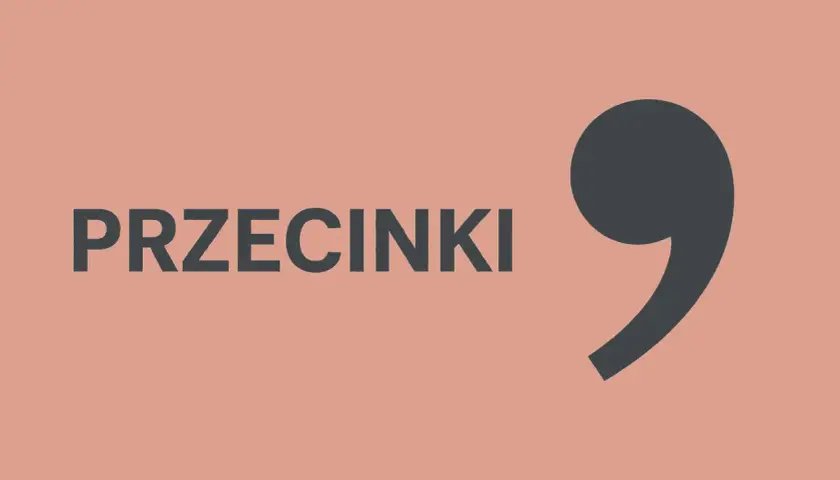 Duży, ciemnoszary przecinek obok napisu "PRZECINKI".