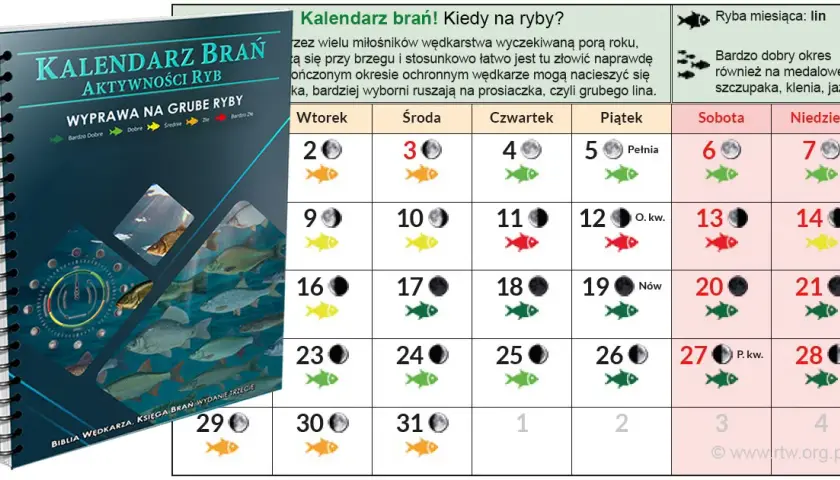 Sekrety kalendarza brań: Kiedy ryby żerują najlepiej?