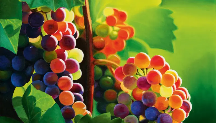 Grappoli d'uva dipinti con colori vivaci, che ricordano quali sono i colori primari: rosso, giallo e blu, mescolati con sfumature di verde e viola.
