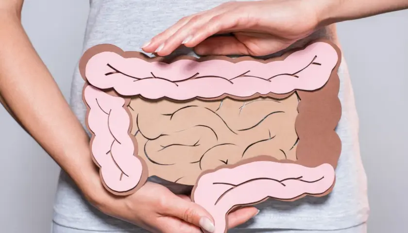 Dłonie obejmują model jelit, symbolizujący problemy trawienne, takie jak śluz w kale.