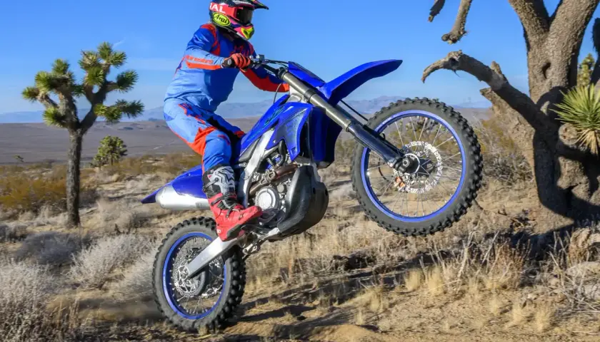 Motocyklista w stroju Alpinestars A-10 wykonuje wheelie na pustynnym terenie, w tle drzewa Jozuego.