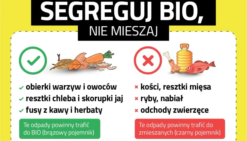 Gdzie wyrzucać resztki jedzenia? Obierki warzyw, fusy kawy i herbaty do BIO. Kości, ryby i mięso do zmieszanych.