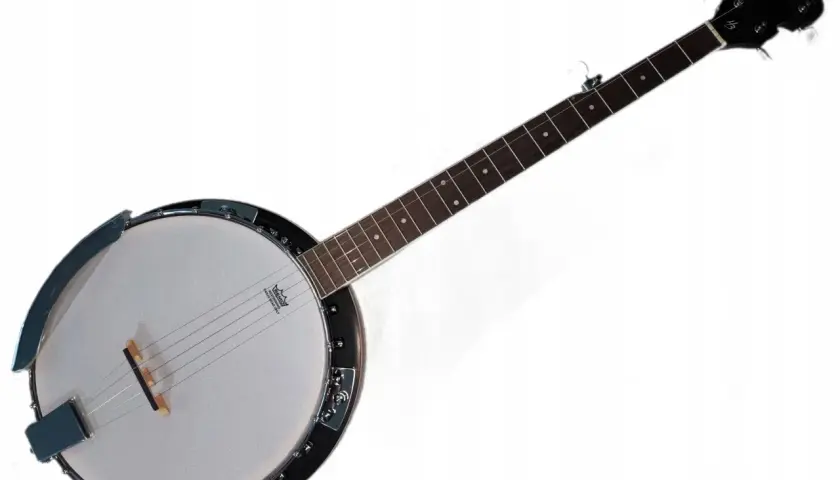Banjo z jasną membraną i ciemną szyjką na białym tle.