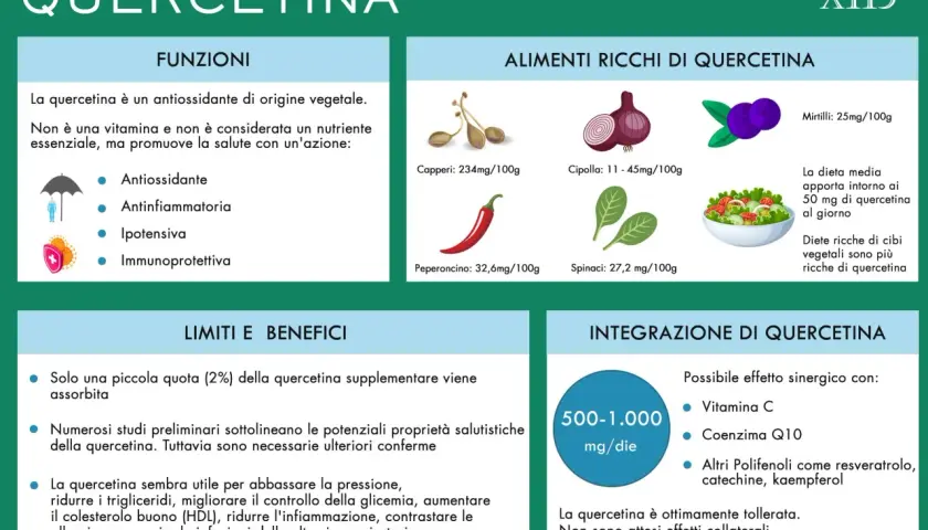 La quercetina, un antiossidante vegetale, offre numerosi benefici per la salute, tra cui proprietà antinfiammatorie e immunoprotettive.