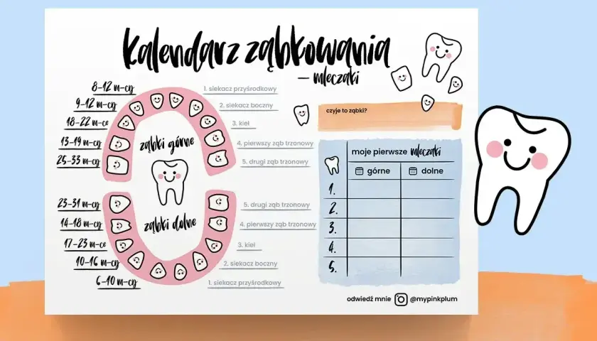 Kalendarz ząbkowania mleczaków. Pomaga śledzić, jak liczyć zęby, kiedy wyrzynają się pierwsze ząbki.