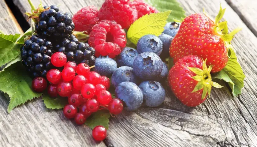 Frische Beeren wie Brombeeren, Himbeeren, Blaubeeren und Erdbeeren. Ihre tiefen Farben deuten auf die positive anthocyane wirkung hin, die gut für die Gesundheit ist.