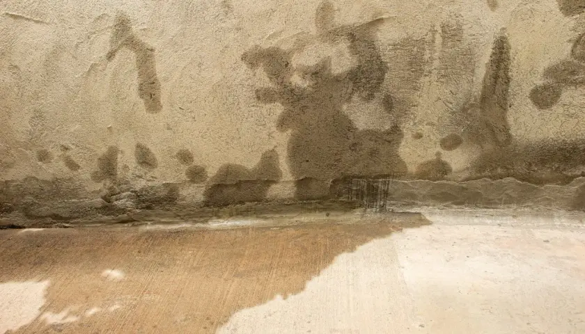 Feuchte Wand und nasser Boden im Keller nach starkregen. Grundwasser dringt ein und hinterlässt dunkle Flecken.