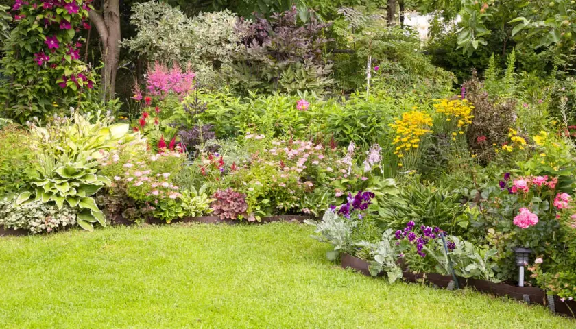 Un jardin luxuriant débordant de fleurs colorées, de roses roses, de digitales violettes et de marguerites jaunes.