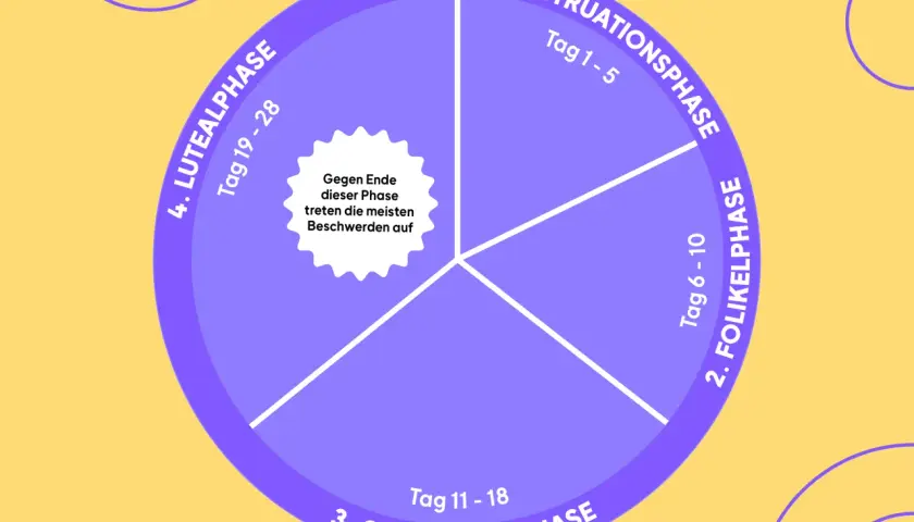 Kreisdiagramm zeigt den weiblichen Zyklus: Menstruation, Follikel-, Ovulations- und Lutealphase. Gegen Ende der Lutealphase treten oft Beschwerden auf.
