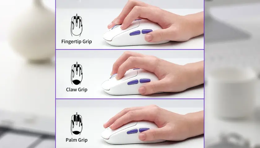 Drei Hände halten eine weiße Maus: Fingertip Grip, Claw Grip und Palm Grip.