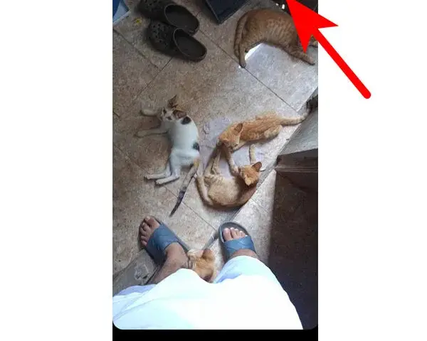 Jak dodać muzykę do relacji na Instagramie na iPhone bez problemów