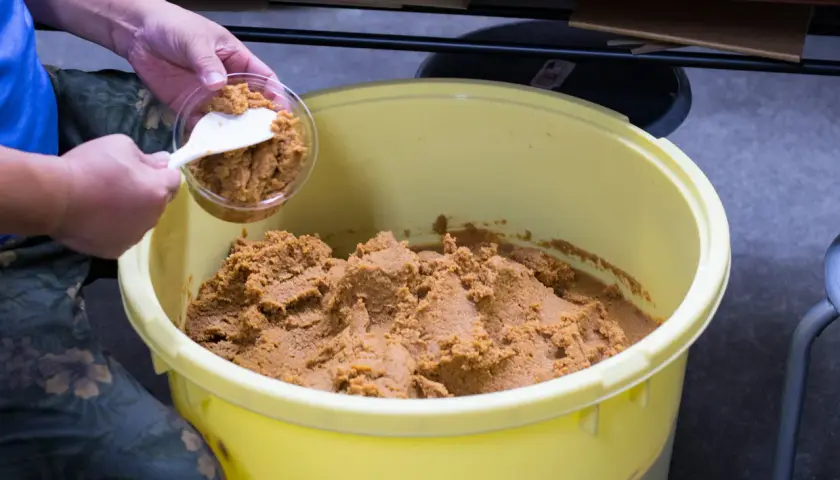 Eine Hand schöpft Miso-Paste aus einem großen Behälter. Die Frage, wie lange ist Miso Paste haltbar, ist wichtig für die Lagerung.