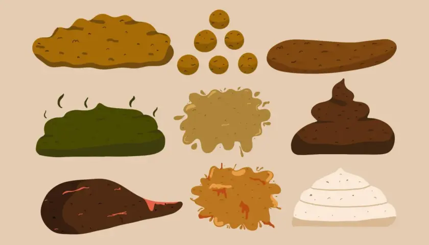 Illustration av olika typer av bajs, från ljust till mörkt. En del ser ut som klumpar, andra som en smet.