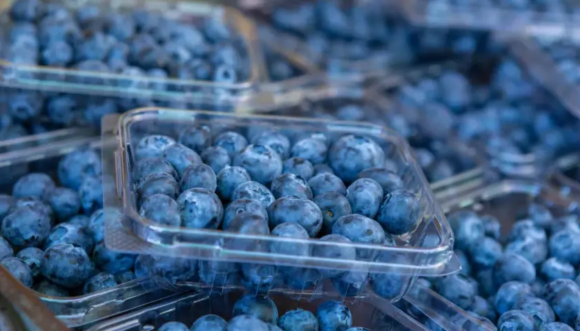 Borówki: tuczą czy odchudzają? Ekspert wyjaśnia!