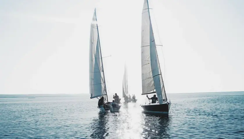 Varios veleros navegan en un día soleado. Es como soñar con barco, con las velas blancas brillando y el agua reflejando la luz.