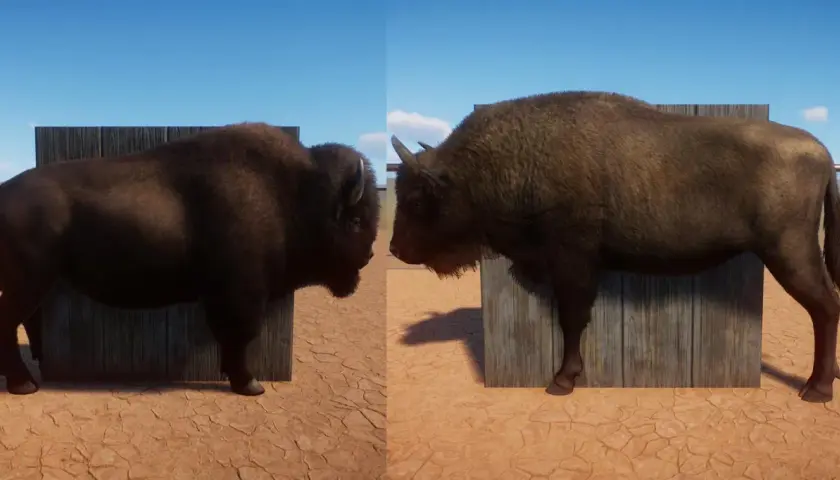 Comparación de un bisonte americano (izquierda) y un bisonte europeo (derecha), mostrando sus diferencias físicas.