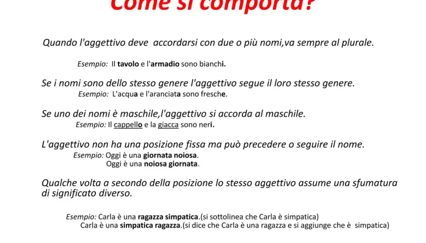 Regole per l'uso degli aggettivi: accordo con nomi multipli, genere e posizione. Esempi illustrano come gli aggettivi quantitativi cambiano.