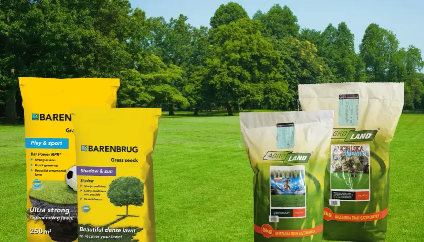 Trawy na suche tereny i do cienia. Mieszanki Barenbrug i Agro Land zapewnią piękny, gęsty trawnik.