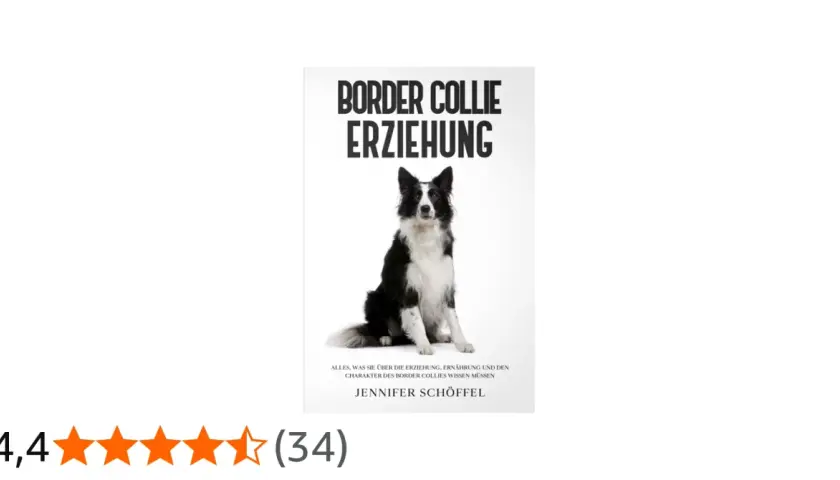 Ein Border Collie sitzt aufmerksam. Das Buch "Border Collie Erziehung" erklärt alles über den Charakter und die Haltung dieser intelligenten Hunde.