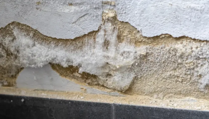 Salpeter bildet weiße, flockige Kristalle auf feuchtem Mauerwerk. So sieht Salpeter aus, wenn er sich ablagert.