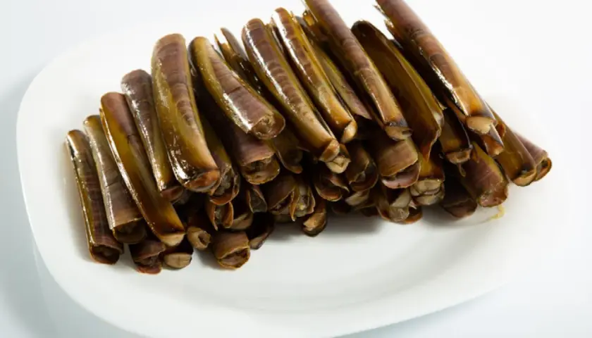 Un plato blanco lleno de navajas animal, listas para ser cocinadas.
