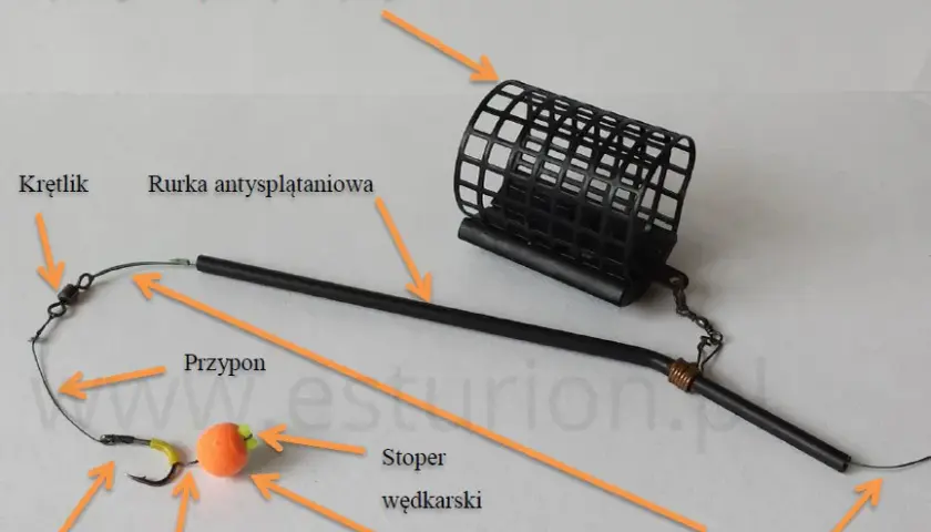 Pierwszy zestaw wędkarski: jak skompletować i zacząć łowić?