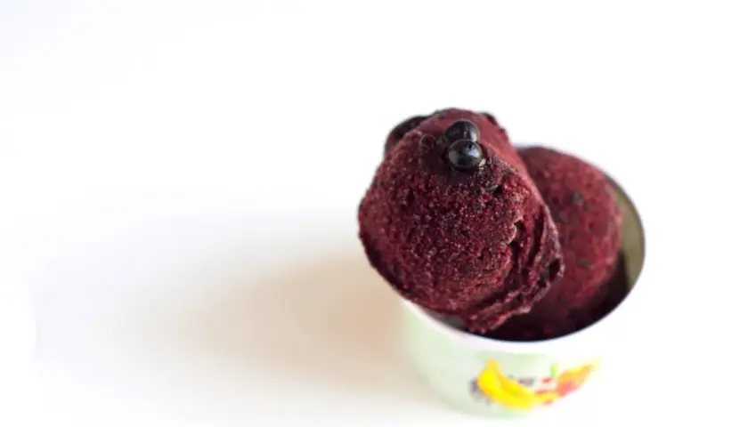 Coppetta con sorbetto ai mirtilli, guarnito con alcuni mirtilli freschi. Freschezza e gusto in ogni cucchiaiata.