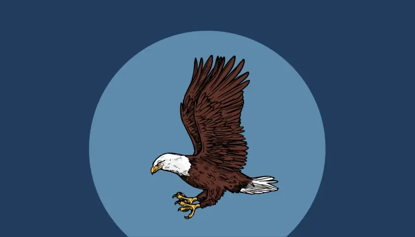 Aquila in volo, artigli pronti. La leggenda dell'aquila è vera? Un simbolo di forza che domina il cielo.