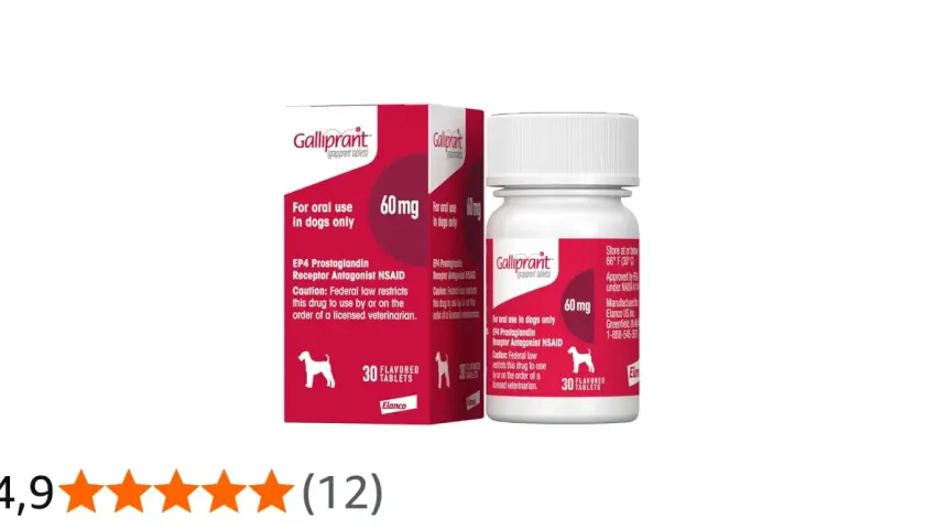 Confezione di Galliprant 60 mg per cani. Le recensioni positive indicano che è un farmaco efficace.