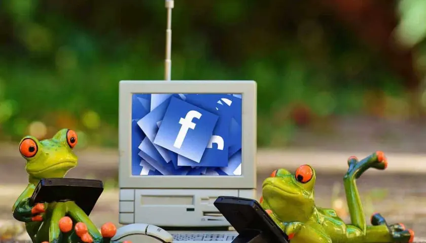 Dwie żaby uczą się, jak zagadać do dziewczyny na Messengerze, patrząc na ekran z ikonami Facebooka.