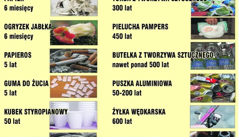 Papier rozkłada się 6 miesięcy. Tabela pokazuje szacunkowy czas rozkładu różnych odpadów, od papieru po butelki szklane.