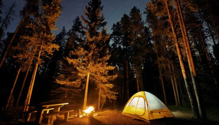Nocny camping w Górach Stołowych. Rozświetlony namiot i ognisko w lesie pod rozgwieżdżonym niebem.